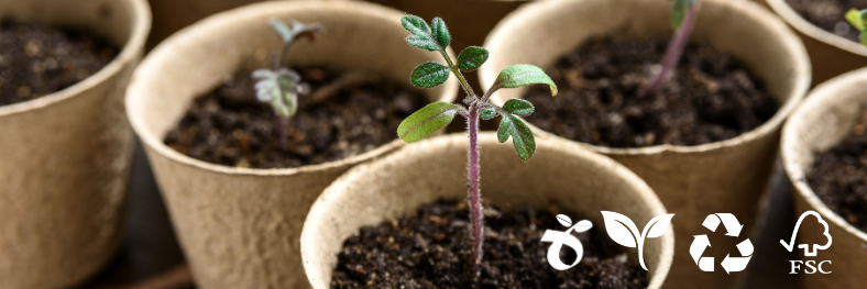 Sustainability Practices: Comparing Eco-Friendly Alternatives