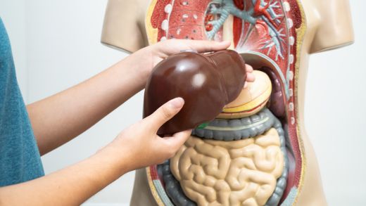 First Aid & Workplace Safety > Educational Products