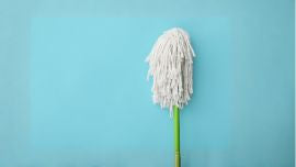 Cleaning > Cleaning Products > Cleaning Equipment > Mops