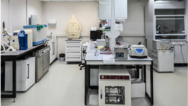 Science & Laboratory > Physics Apparatus