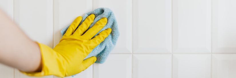 Dental > Cleaning and Hygiene