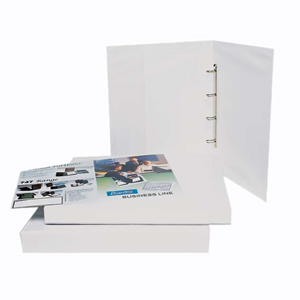 BANTEX A3 25MM 4D INSERT BINDER WHITE Each