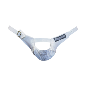 BodyAssist, Suspensory Testicular Supporter, Large, Each