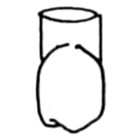 Frasaco type crowns 243 loose Each