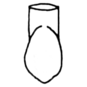 FRASACO TYPE CROWNS 332 5/PK Pack