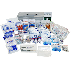 Livingstone General Purpose First Aid Kit, Large, Complete Set In Recyclable Plastic Case Each