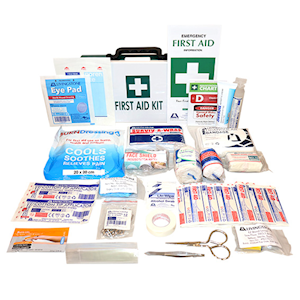 Livingstone Work Vehicle First Aid Kit, Large, Complete Set In Recyclable Plastic Case Each
