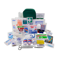 Livingstone Comprehensive Travel First Aid Kit, Complete Set In Green Pouch Kit