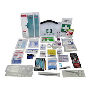 Livingstone Comprehensive Travel First Aid Kit, Complete Set In Green Pouch Kit