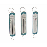 IEC Balance Spring, 0-1N/100g x 2g, Aluminium and Plastic, Flat, Each