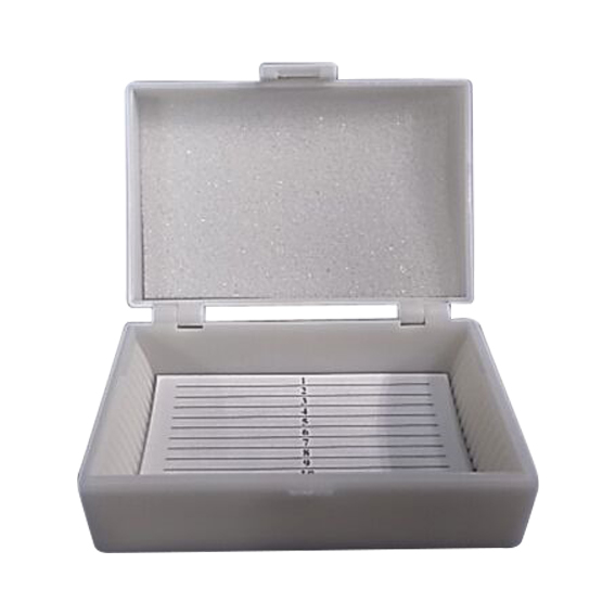 IECPA1091-15