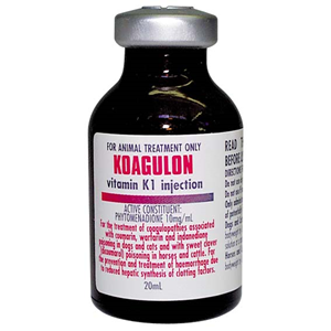 Koagulon inj VIT K1 20ml Bottle