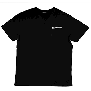 Livingstone V-Neck T-Shirt, 100pct Cotton, 45+ Thread Count, 220GSM Yarn Weight, Small, Black, Each Each