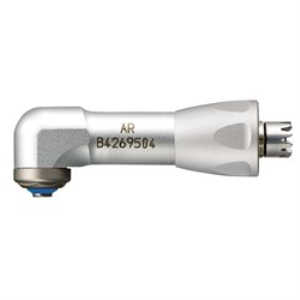 ARS-PTL PHATELUS HEAD S/PROPHY Each