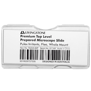 Livingstone Premium Top Level Prepared Slide, Pulex Irritants, Flea, Whole Mount, Each Each