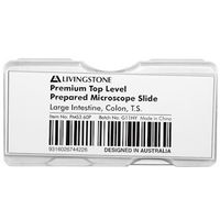 Livingstone Premium Top Level Prepared Slide, Large Intestine, Colon, Transverse Section, Each Each