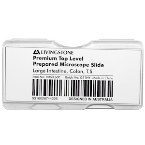 Livingstone Premium Top Level Prepared Slide, Large Intestine, Colon, Transverse Section, Each Each