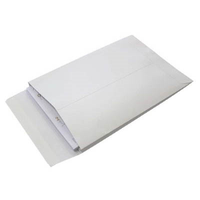 C4 EXPANDABLE POCKET ENVELOPE WHITE BOX 125 Box