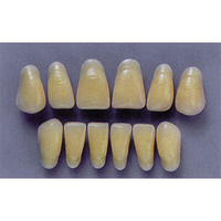 ULTRADENT ANT. 1N/62 LOWER (1x6 CARD) Card