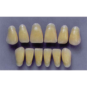 ULTRADENT ANT. 1N/65 LOWER (1x6 CARD) Card