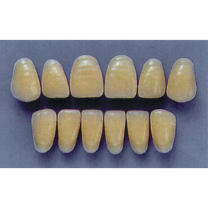 ULTRADENT ANT. 4H/77 UPPER (1x6 CARD) Card