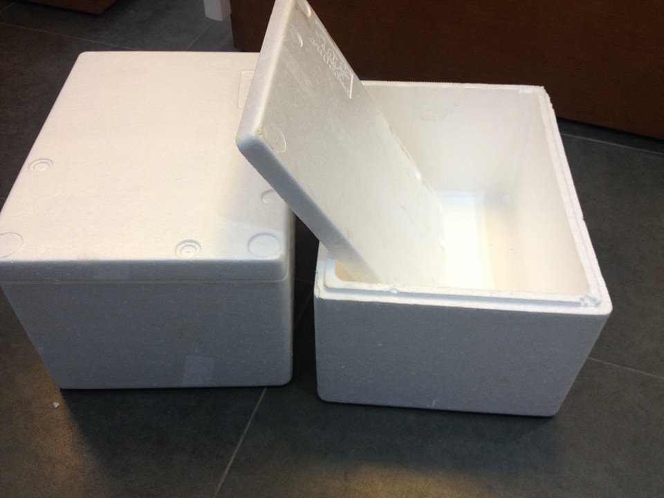Disposable Lightweight Foam Cooler Box ideal for healthcare and food services.