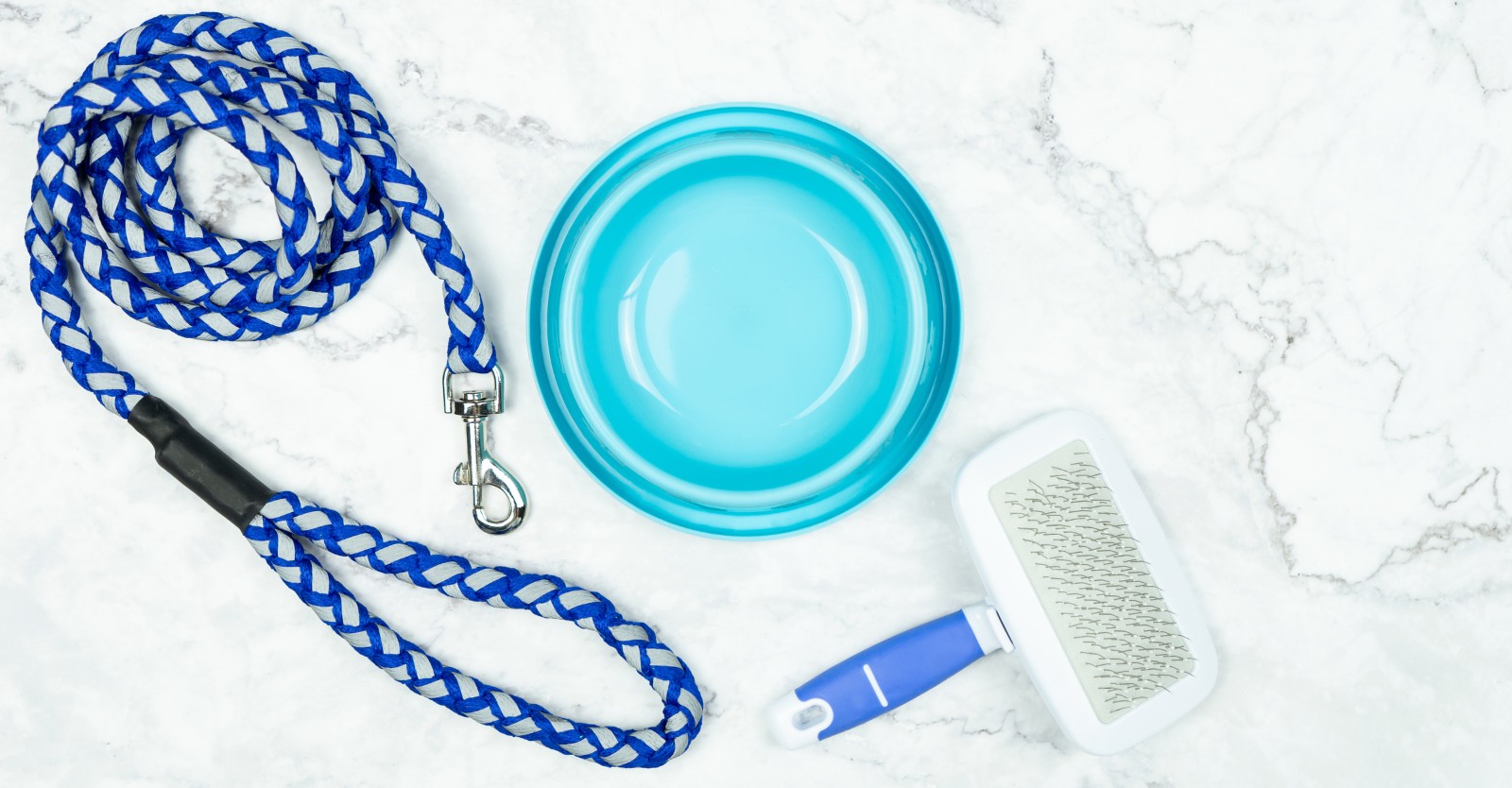 Pet Accessories
