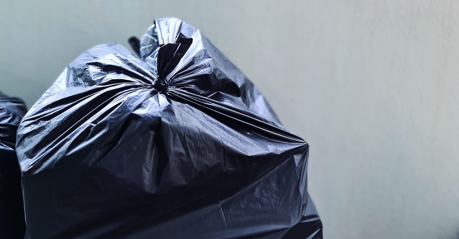 Garbage Bags