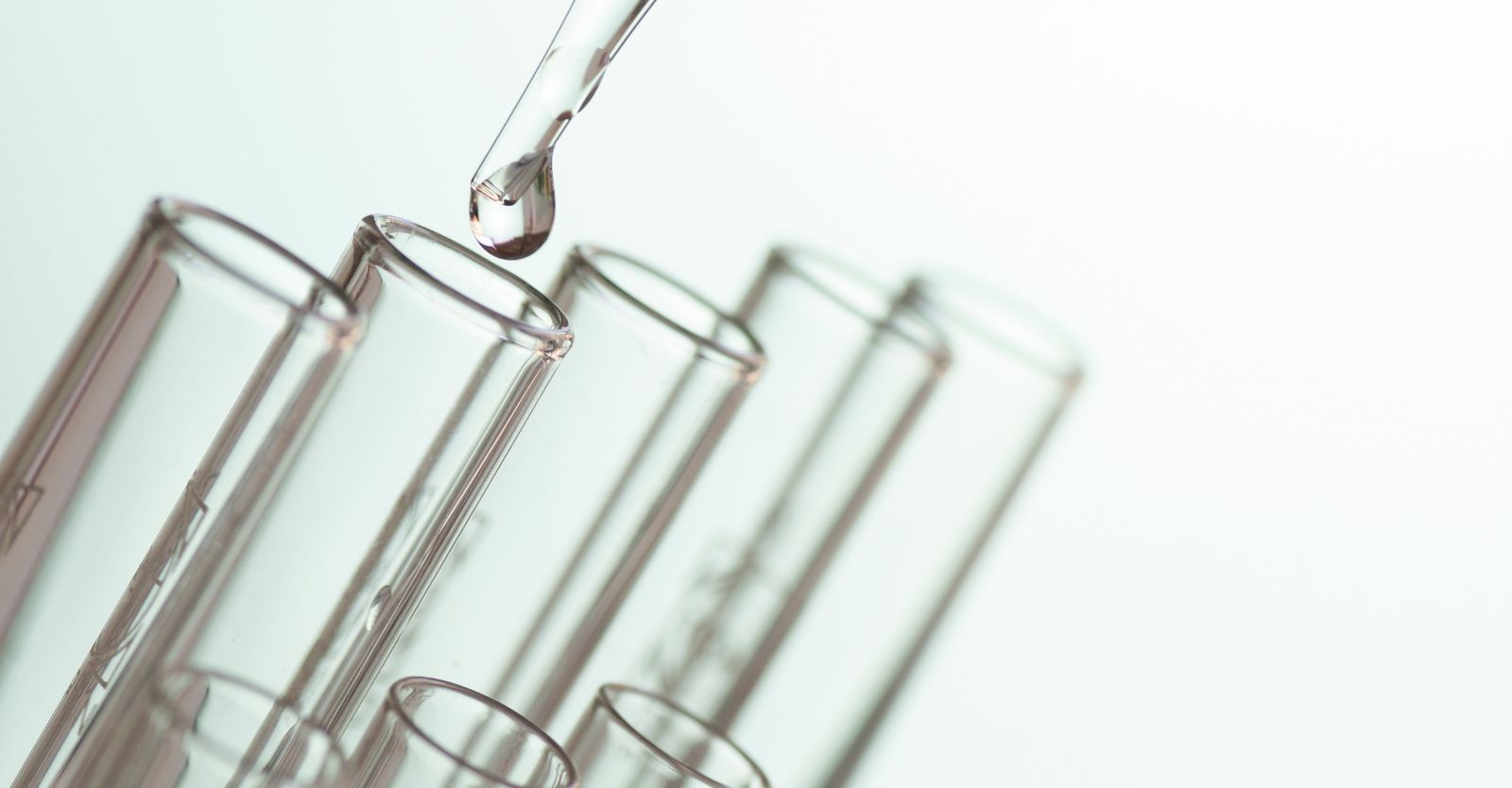 Sterile 50ml Test Tubes in Laboratory Settings