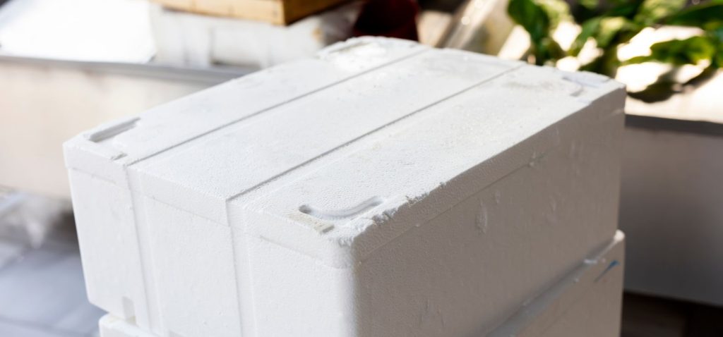 Single-Use Styrofoam Coolers