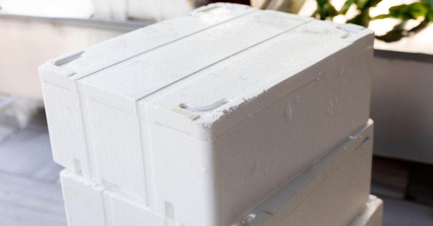 Disposable Styrofoam Coolers