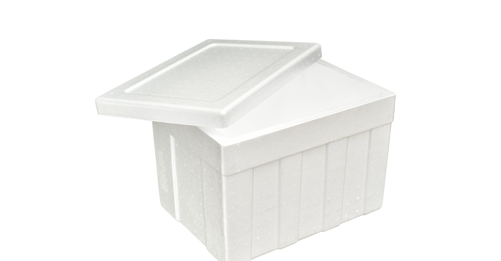 Single-Use Styrofoam Cooler