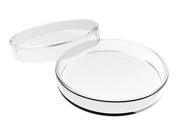 Borosilicate Petri Dishes