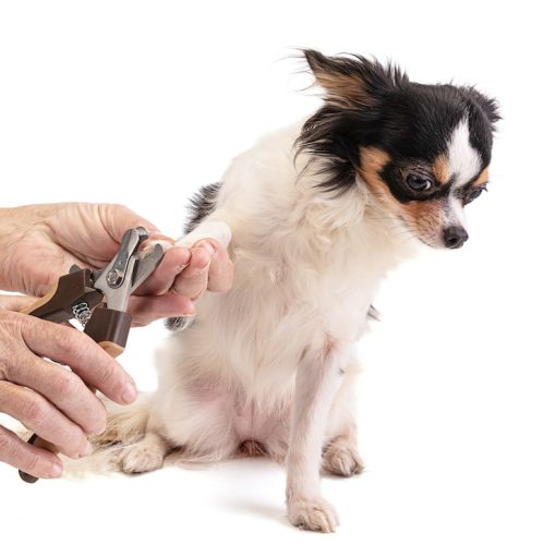 Dog Nail Clippers