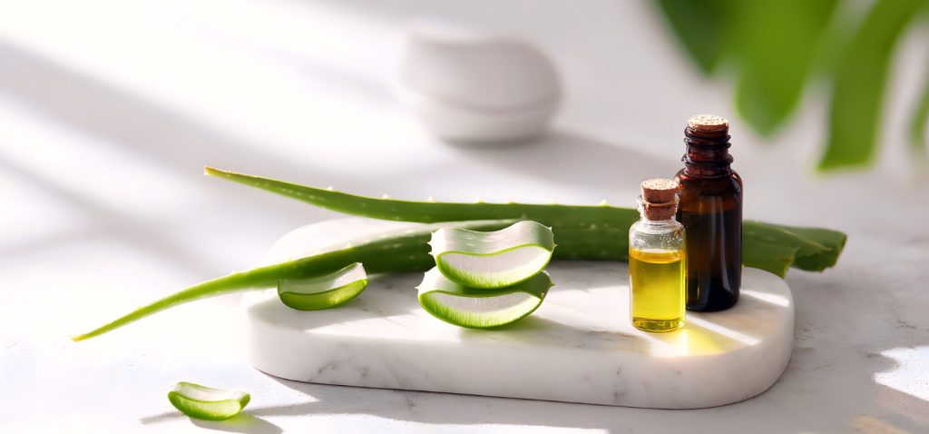 Aloe Vera is a good choice for your Skincare