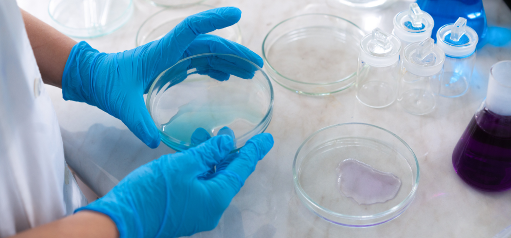 Borosilicate Glass Petri Dishes