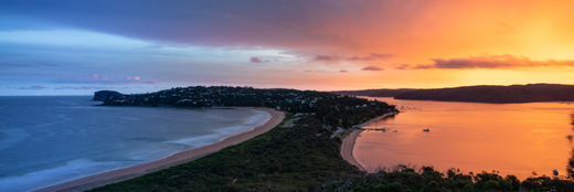 What Dressing Suits my Wound Environment?