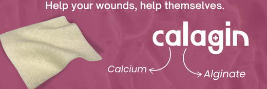 Calagin: A Review of Calcium Alginate Dressings