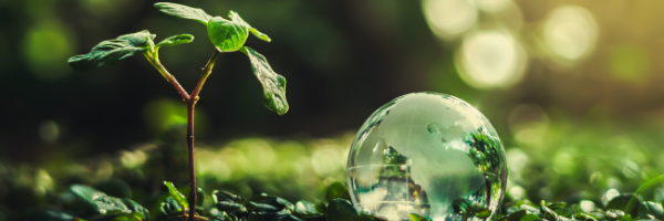 Eco-Conscious Procurement  in a plastic-driven healthcare