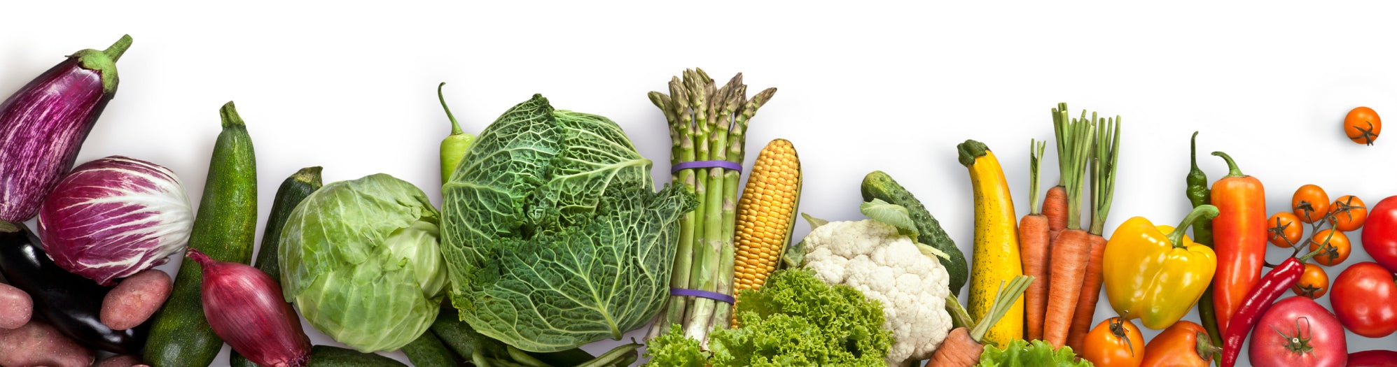 Veterinary > Alimentary System