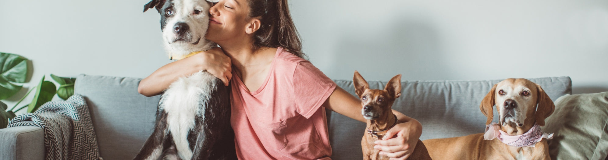 Veterinary > Pet Care