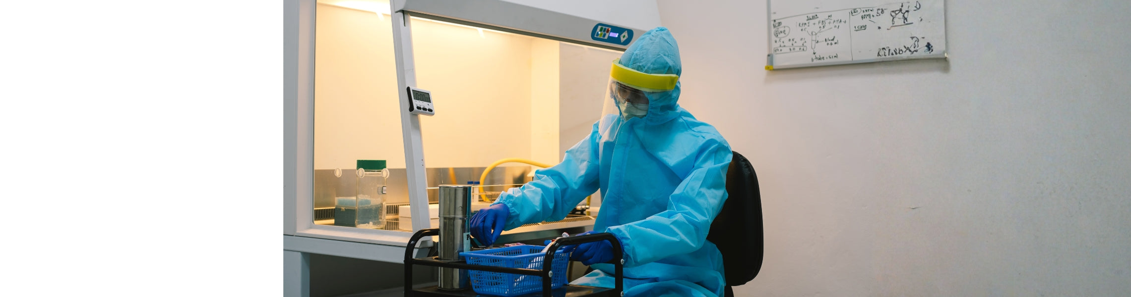 University > First Aid, Safety and Protection