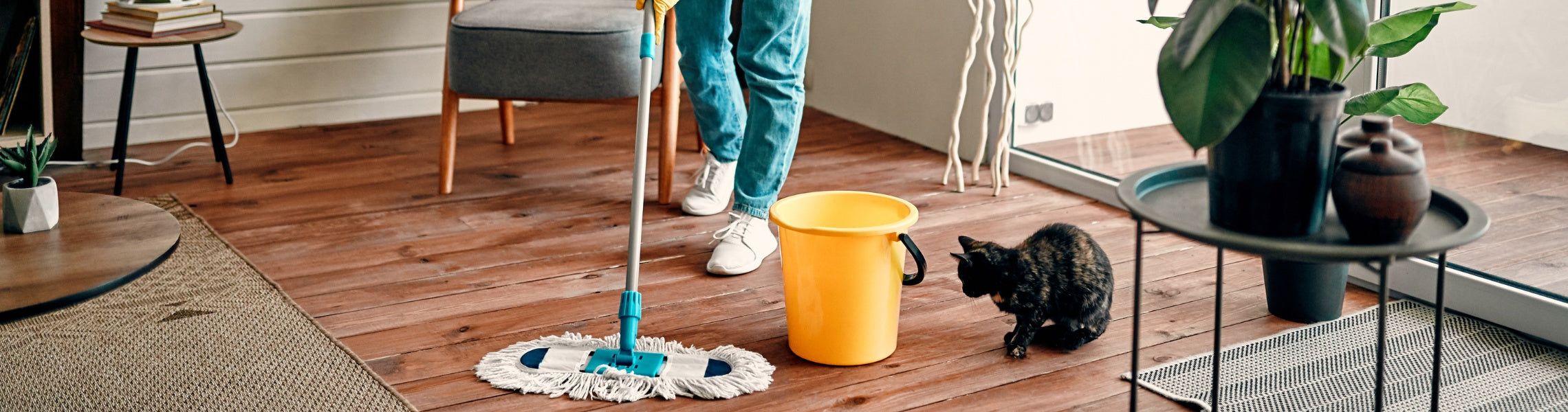 Cleaning > Cleaning Products