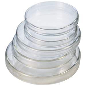 Livingstone Petri Dish, with 3 Vents and 2 Sectors, 90 x 14(H) mm, with Lid, Sterile, Recyclable Polystyrene, 20 Pieces/Bag