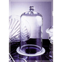 Livingstone Bell Jar With Knob