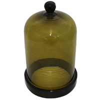 Livingstone Bell Jar With Knob
