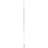 Brannan Laboratory Thermometer Mercury