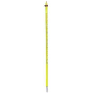 Brannan Laboratory Thermometer Mercury