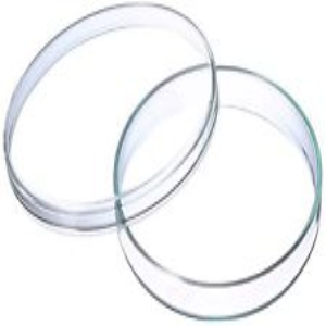 Livingstone Petri Dish, with 3 Vents and 2 Sectors, 90 x 14(H) mm, with Lid, Sterile, Recyclable Polystyrene, 20 Pieces/Bag