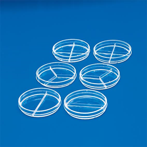 Livingstone Petri Dish, with 3 Vents and 2 Sectors, 90 x 14(H) mm, with Lid, Sterile, Recyclable Polystyrene, 20 Pieces/Bag